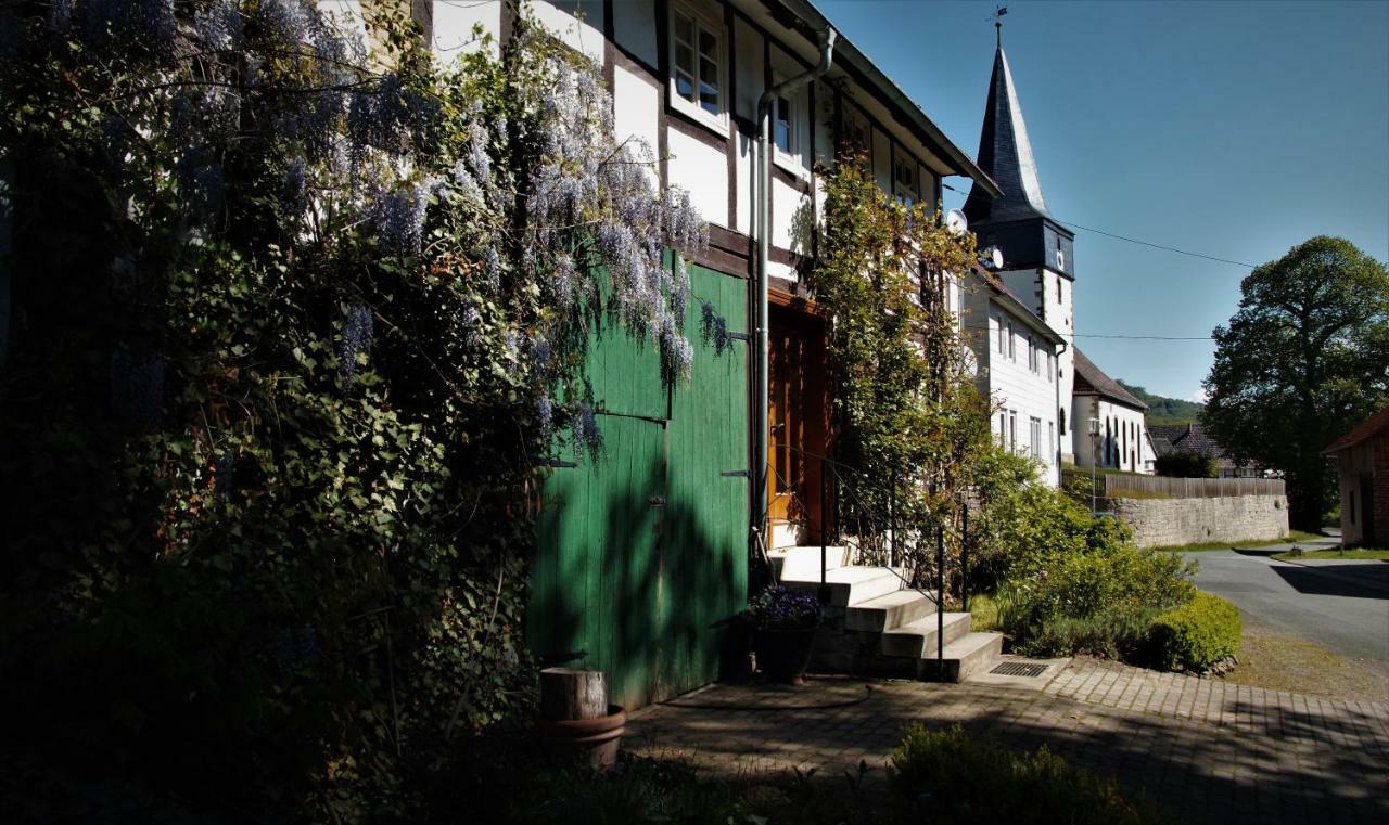 Liebenau  Heidschnuckenhof 빌라 외부 사진
